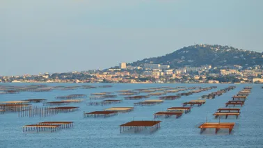 Lac du Salagou - Etang de Thau | 1 passager
