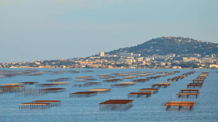 Lac du Salagou - Etang de Thau | 1 passager