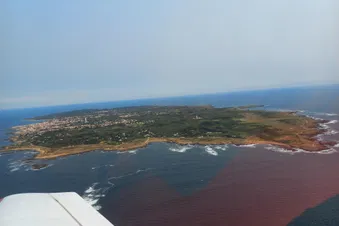 Ile d'Yeu - En route pour 2025