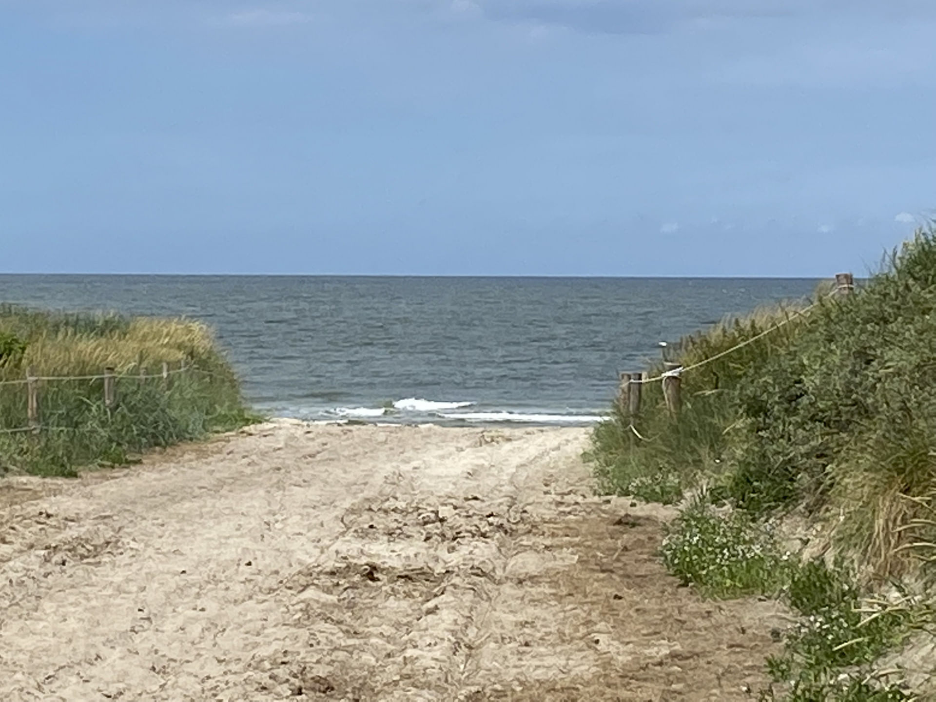 Frankfurt Texel direkt und abends zurück oder bleiben