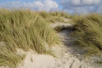 Tagesausflug an die Nordsee