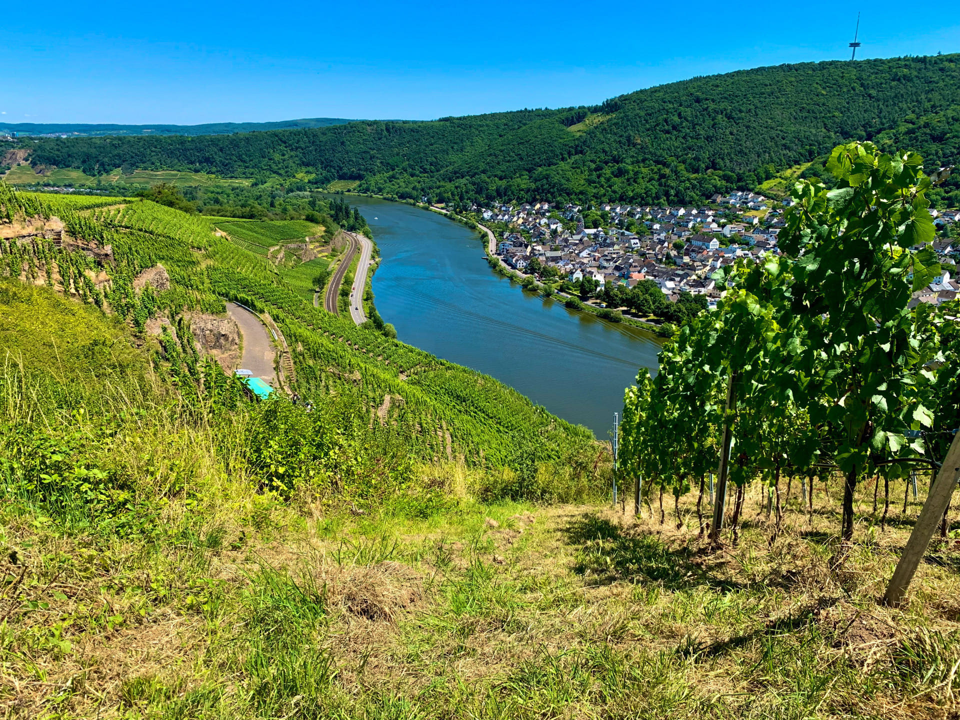 2-3 Pers. Rundflug: Bonn-Koblenz-Mosel & zurück