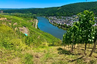 2-3 Pers. Rundflug: Bonn-Koblenz-Mosel & zurück