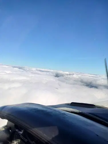 Local flight