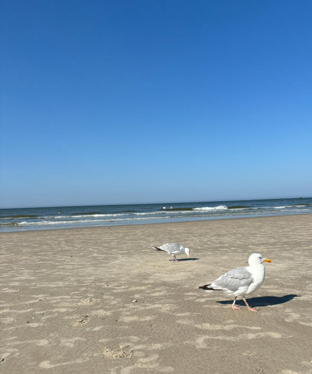 Tagesausflug auf die ostfriesische Insel Norderney