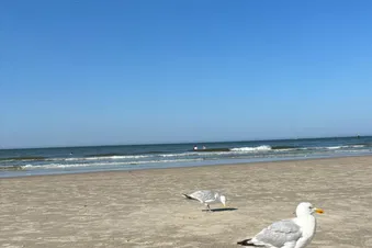 Tagesausflug auf die ostfriesische Insel Norderney