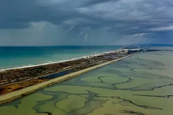 Promenade aérienne en Camargue