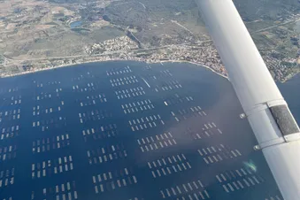 Visite de l'étang de Thau et du Mont Saint Clair