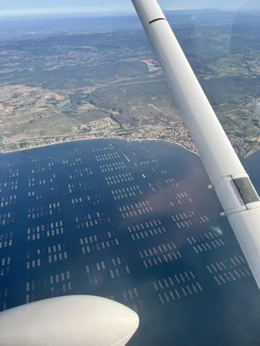 Visite de l'étang de Thau et du Mont Saint Clair