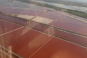 Excursion vers Candillargues au dessus de la Camargue (3PAX)