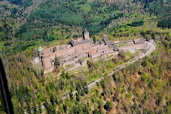 Balade en plaine d'Alsace 🏰