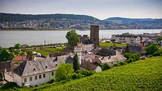 Rheingau und Rhein von oben erleben