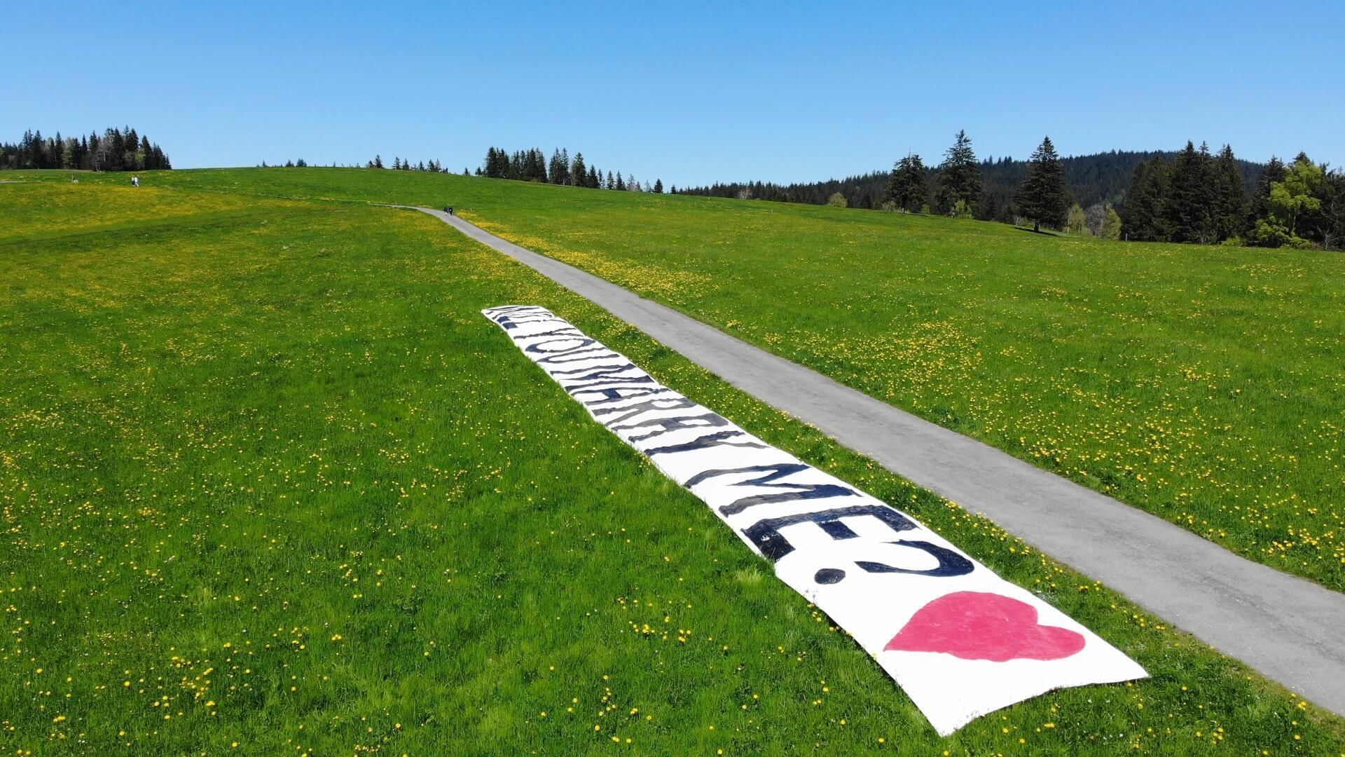 Heiratsantrag aus der Luft