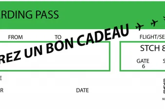 Vol personnalisé - Offrez une vue unique du ciel ! ✈️
