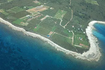 Ausflug nach Vrsar Kroatien - Flug ans Adriatische Meer!
