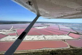 Camargue : La vie en Rose