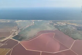 Grand Tour de Camargue : Étangs, Mer et Alpilles