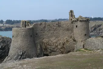 Excursion aérienne d'une journée sur l'île d'Yeu