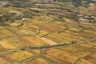 La côte avec son manteau doré