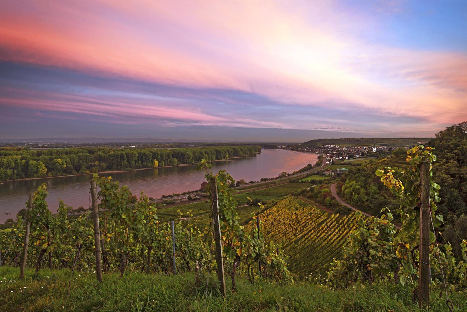 Rheinromantik und Rebenzauber: Ein Luftabenteuer ab Worms