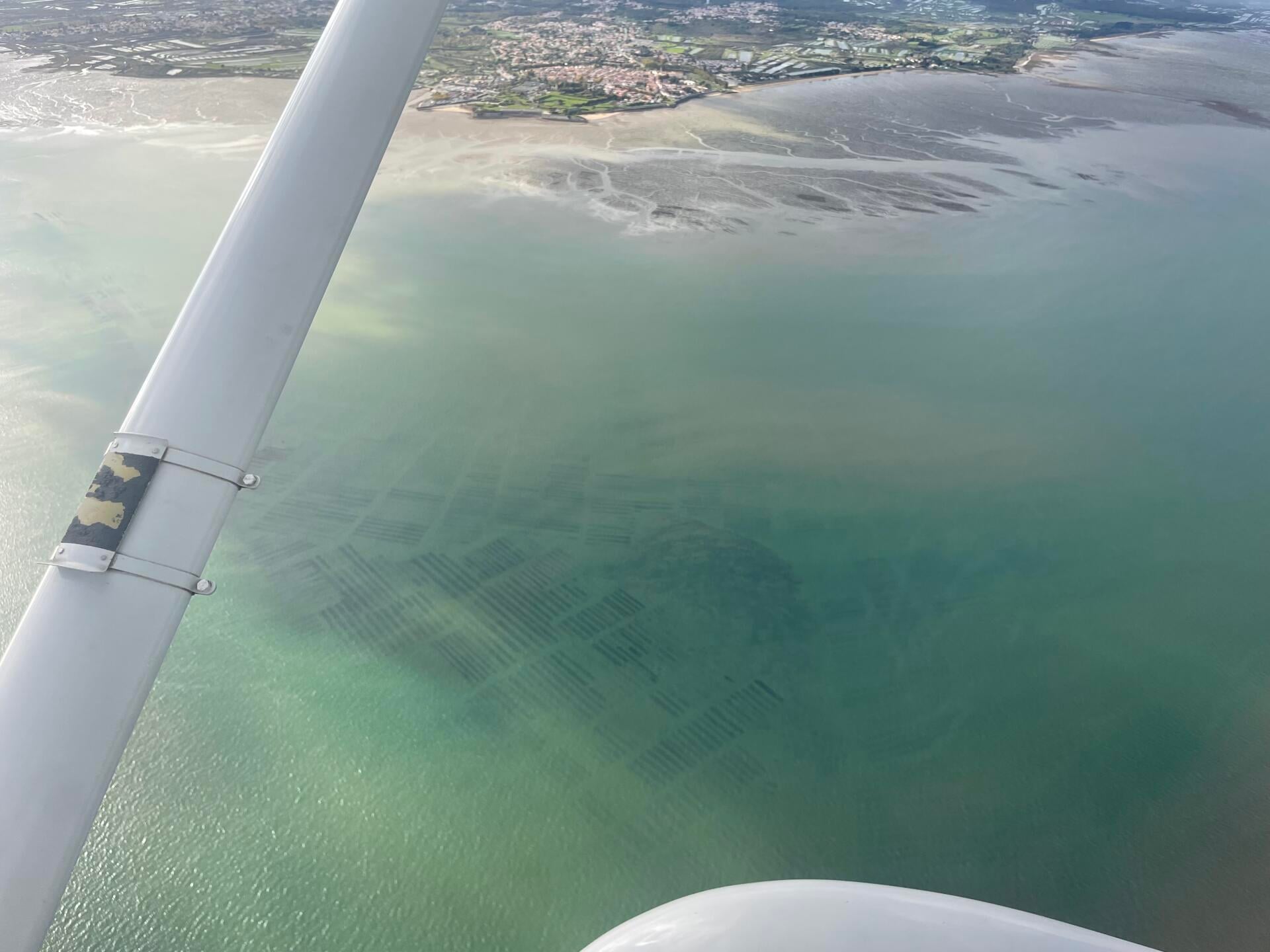 Découverte du Bassin d’Arcachon