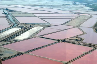 Les Salins du Midi devant Aigues mortes