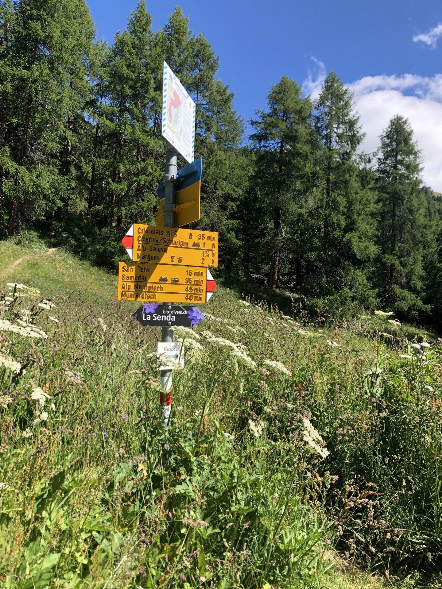 Flug von Zürich Kloten nach Samedan