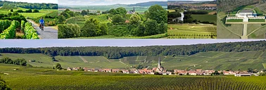 Vignobles et parcs naturels de la Montagne de Reims