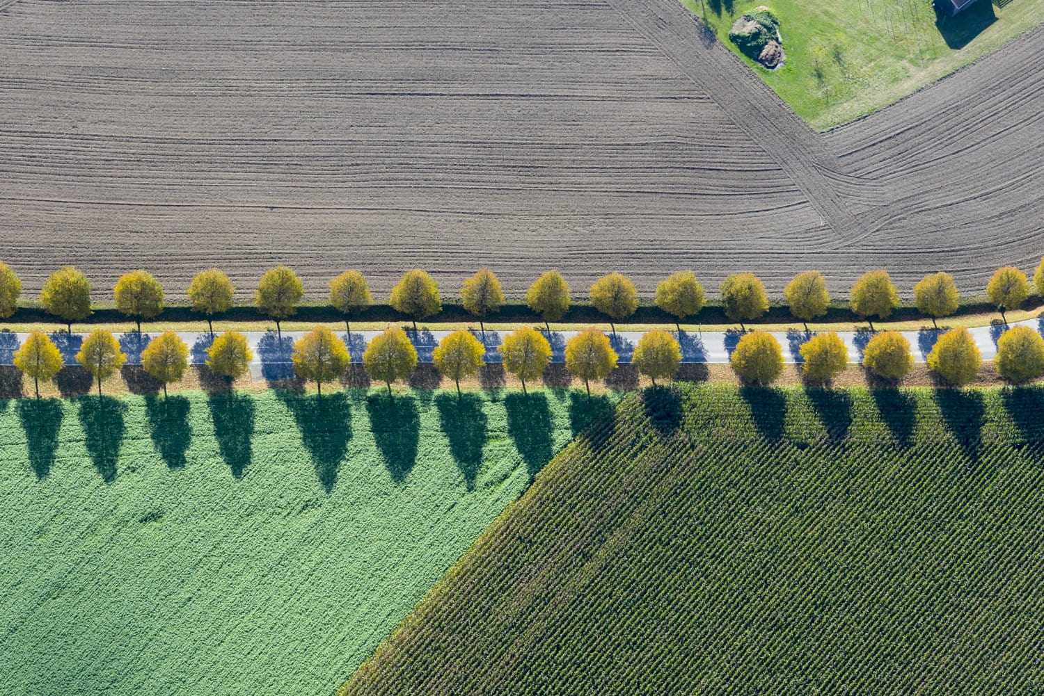 Indian summer in upperpalatinate - 45 Min