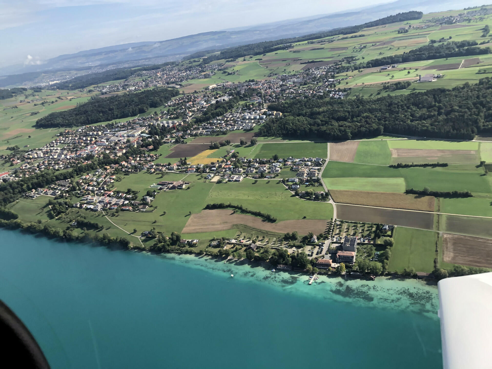 Meisterschwanden Seerose