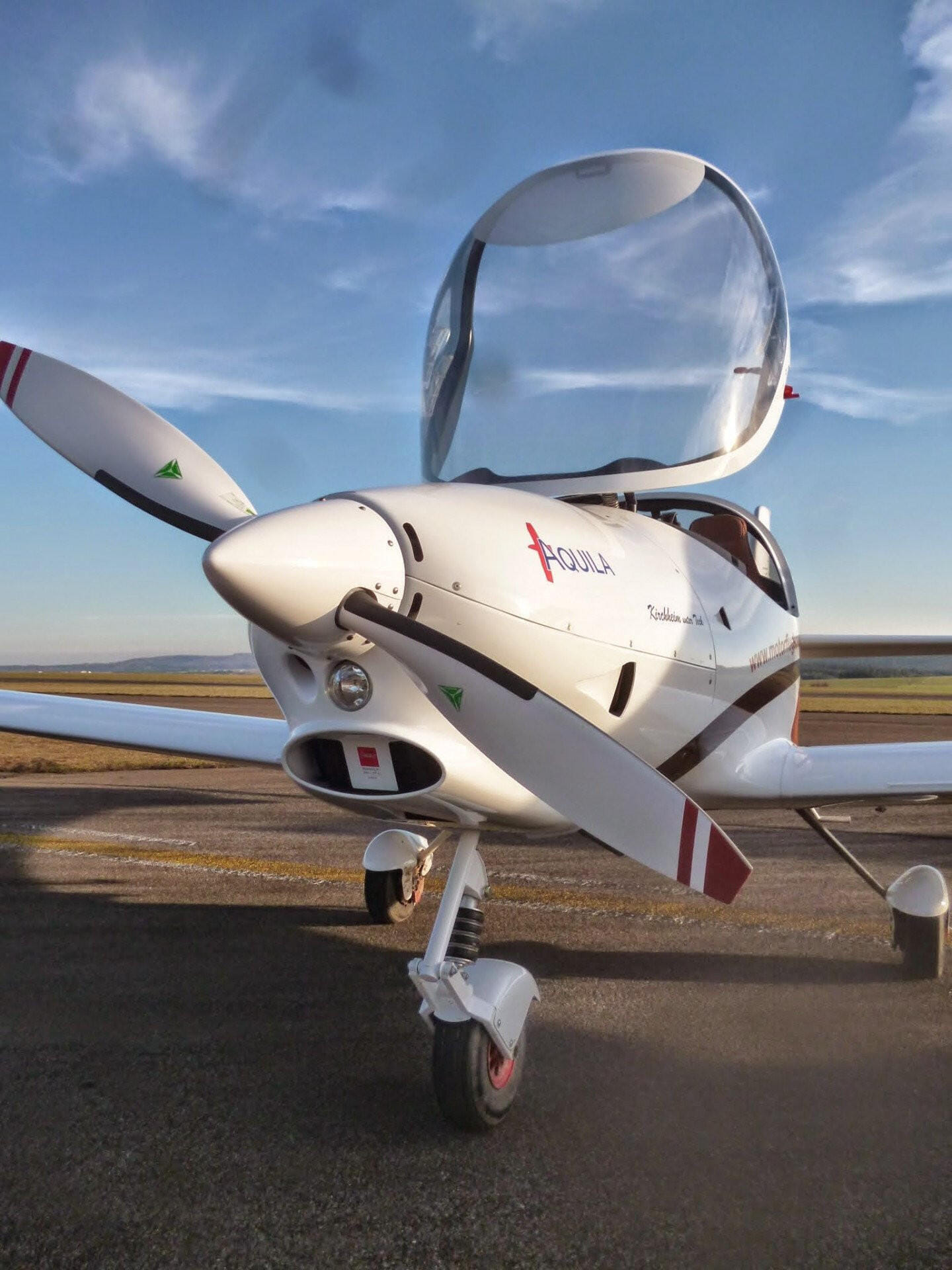 Aquila A211