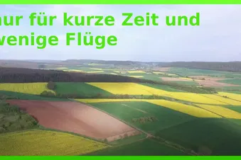 Nur kurze Zeit - Rapsfelder von oben aus sehen (RAD)