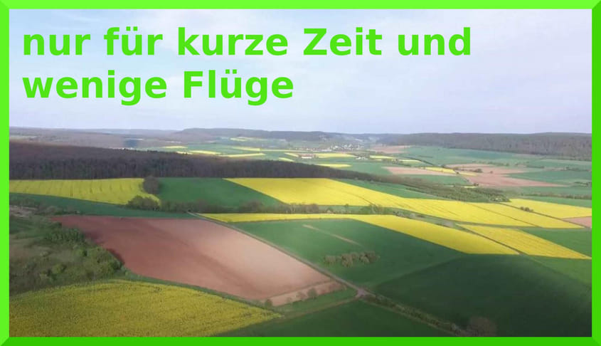 Nur kurze Zeit - Rapsfelder von oben aus sehen (RAD)