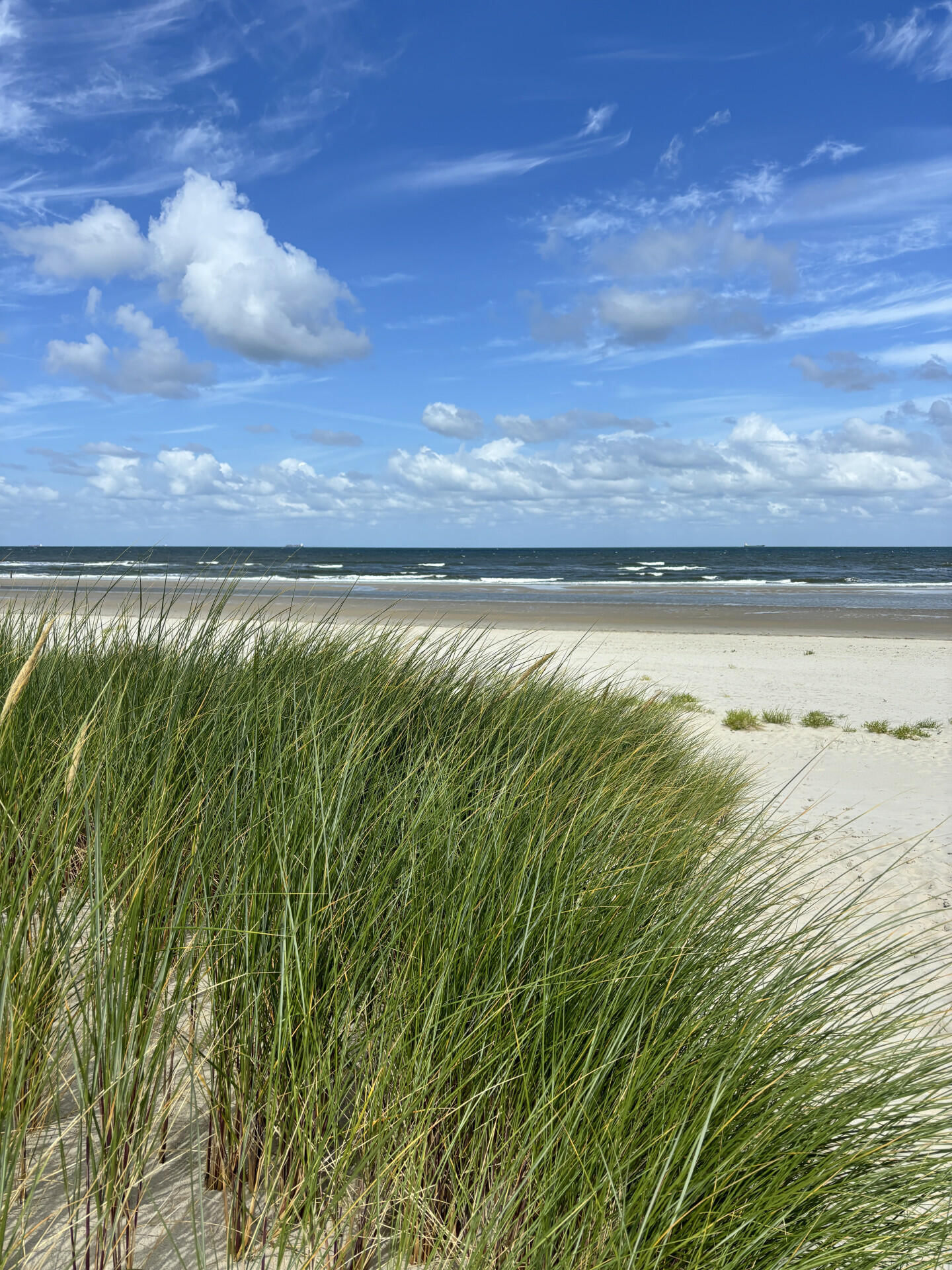 Ausflug nach Wangerooge und zurück!