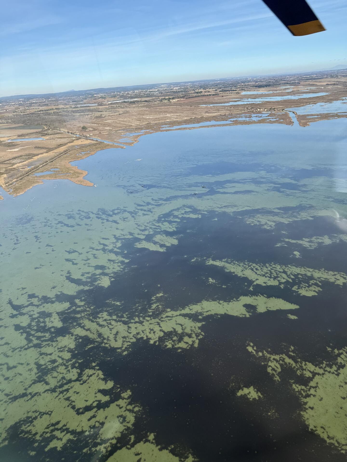 Balade en Camargue
