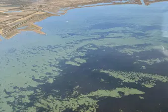Balade en Camargue