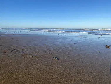 Tag am Meer, Brügge + Ostende ab Saarbrücken