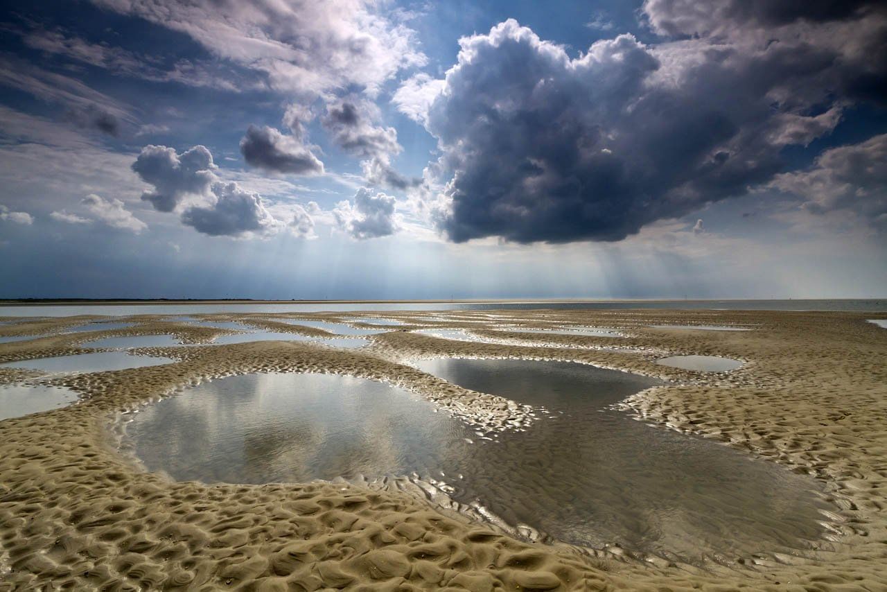 Ausflug nach Texel (NL) oder Insel nach Wahl ;)