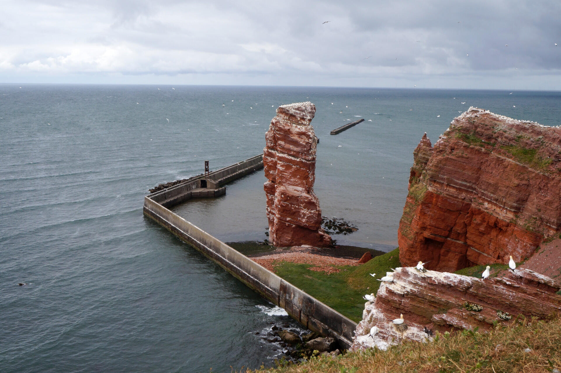 Helgoland Island trip