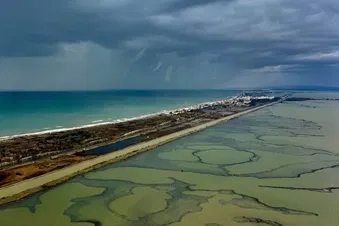 Balade en Camargue