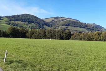 Excursion: meringues en Gruyère et vol panoramique en hélico