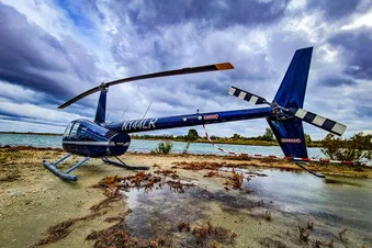 Flamants de Camargue & aigles des Baux de Provence en hélico
