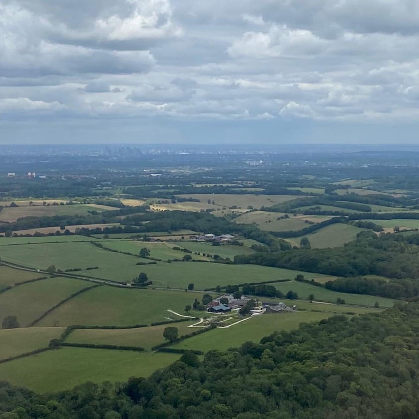 See London's skyline on a 1h sightseeing flight in a DA20