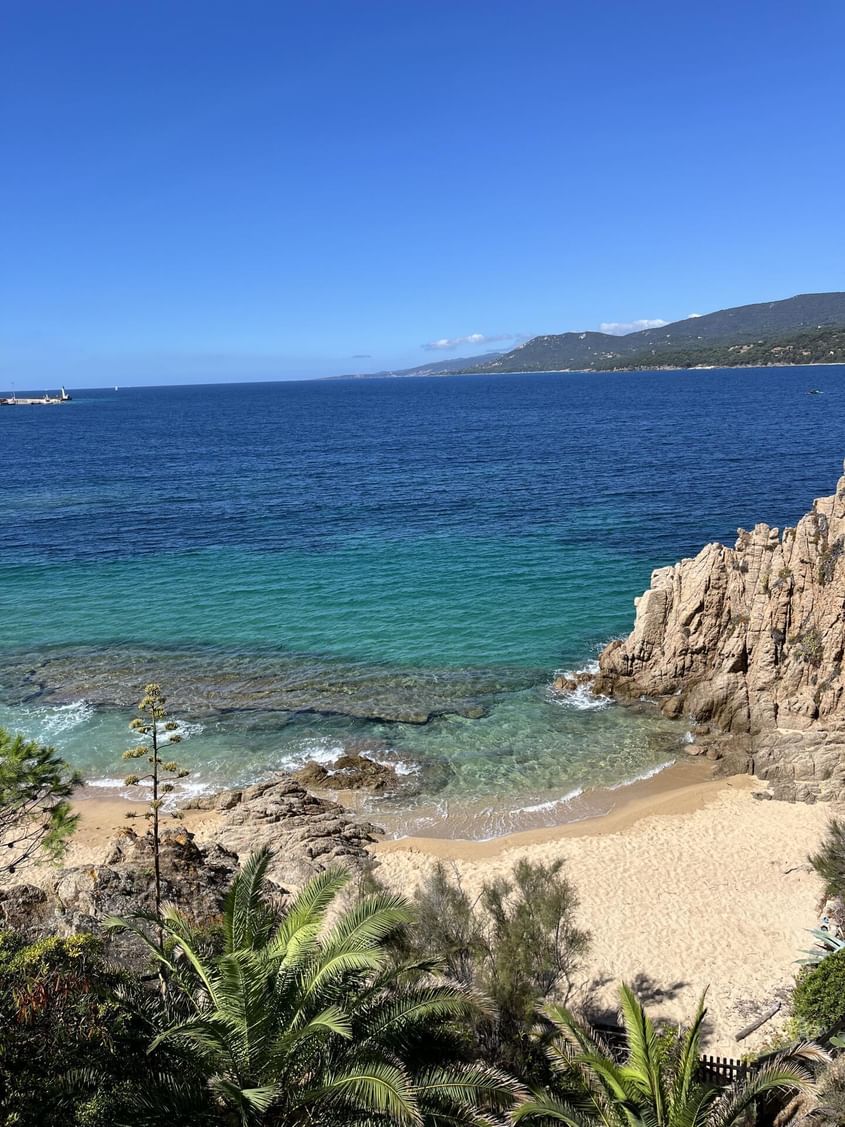 Journée en Corse 🐟🐚🌊🌅