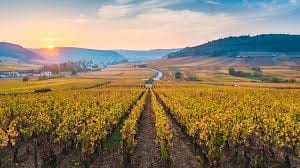 Survol de la Côte des Grands Crus et ses Châteaux