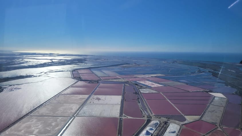 Aigues Mortes - Salins du midi