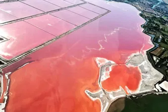 Balade Aérienne en Camargue : Entre Sables et Sels