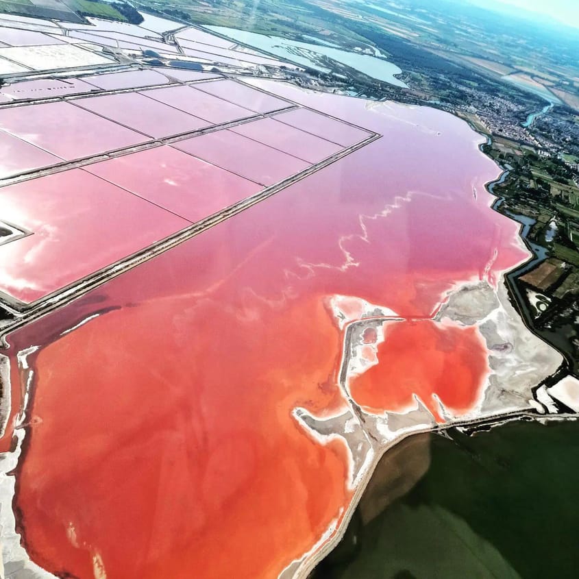 Balade Aérienne en Camargue : Entre Sables et Sels