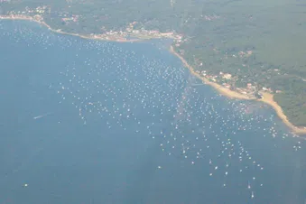 Bassin d'Arcachon