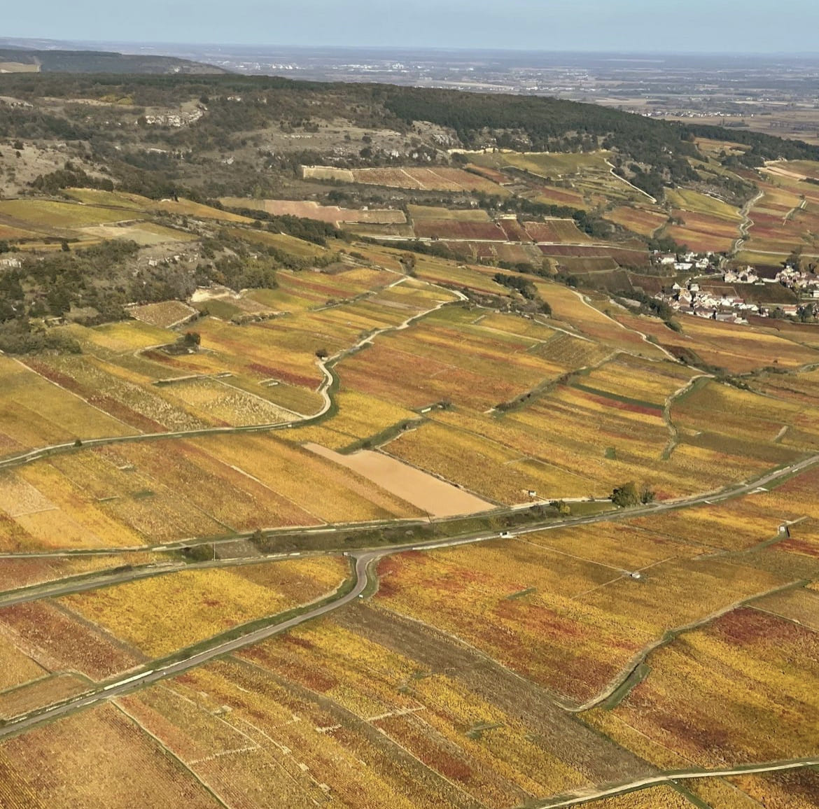 La côte avec son manteau doré